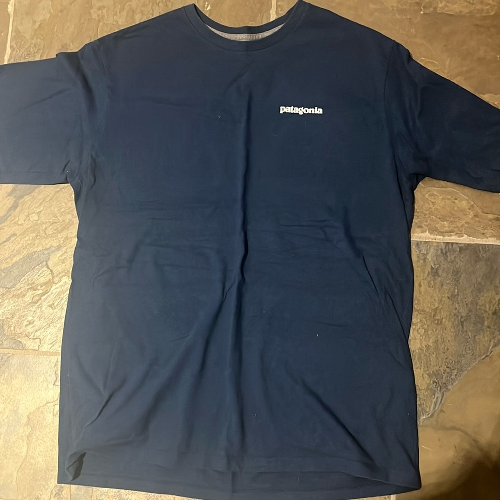 Men’s Patagonia T-shirt